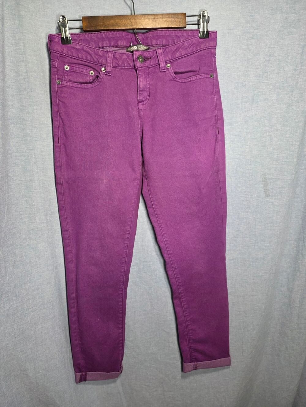 The North Face Jeans 4 Purple Stretch Cotton‎ Outdoor Gorpcore Slim Pants